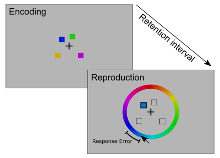 A typical continuous reproduction task